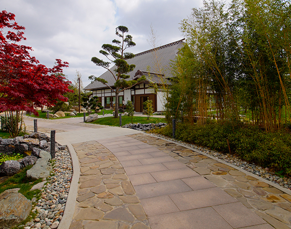 Driveways & Sidewalks